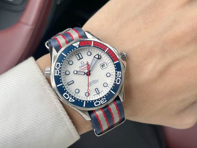 Omega watch 06-Seamater 300m (8)